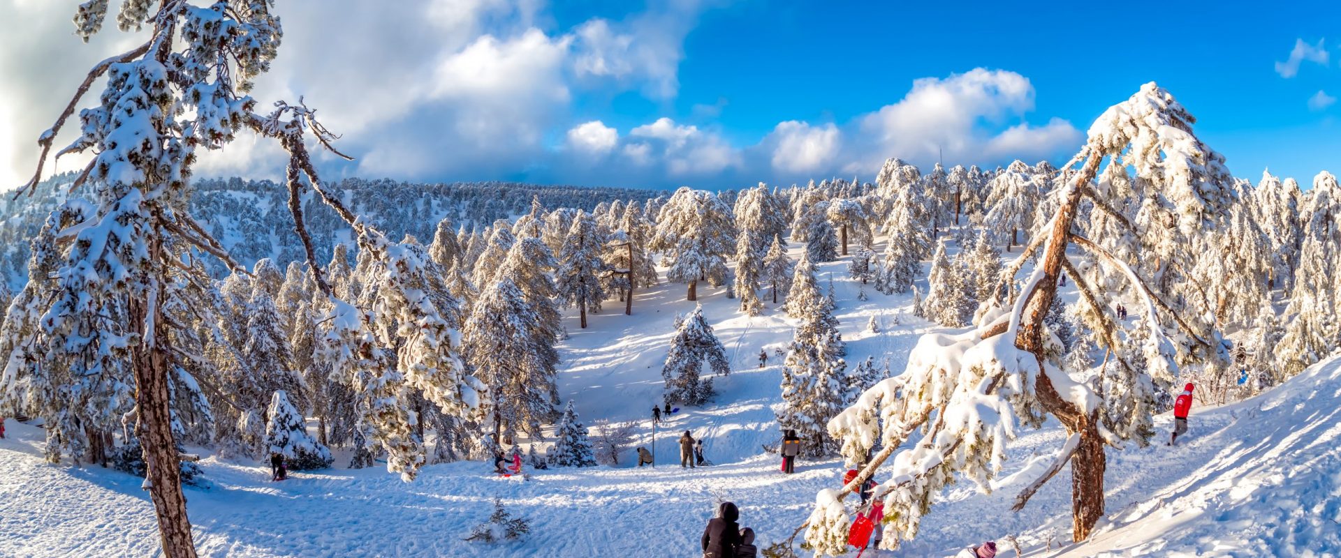 Cyprus Ski